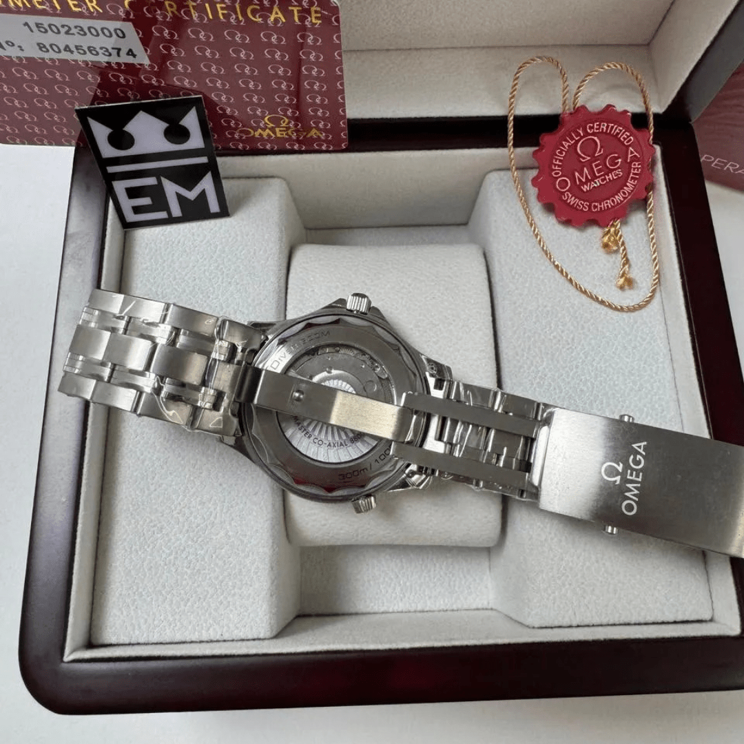 Omega Seamaster Professional – Gray/Blue